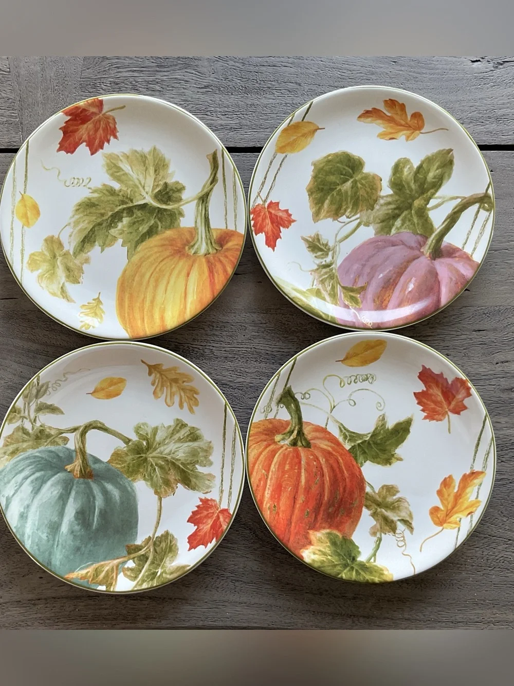 NWT Certified Intl Pumpkin 9” Dessert Salad Plates - Set of 4 Farmhouse Country